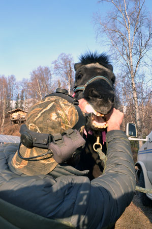 Dr Kaiser exam of Tinni's teeth